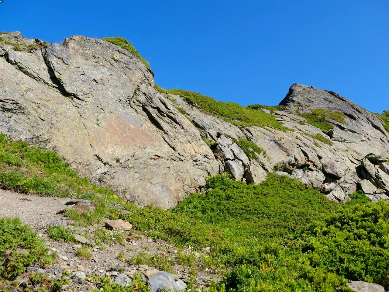 永川茶山竹海：竹林茶香的诗意田园