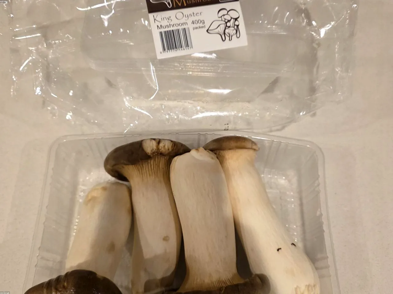北碚缙云山：竹林与云雾的静心山