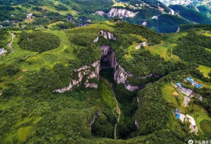 南山植物园:四季花海与观景示例图
