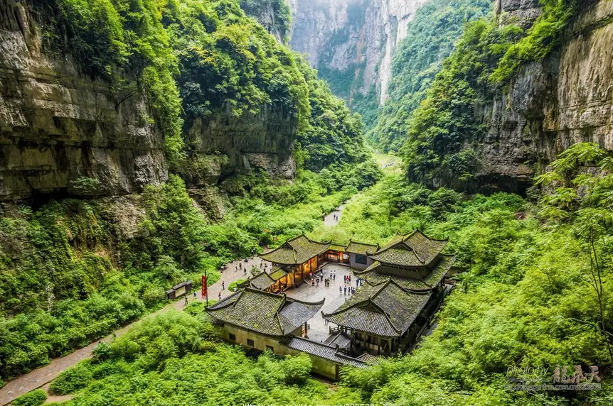 南山植物园:四季花海与观景